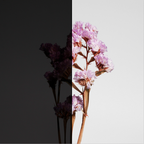 KPAL UV400-05100 Skin Care Window Film